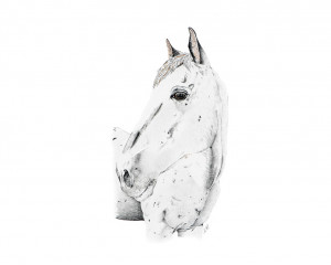 Oeuvre originale Shaman (Equus caballus) Horse