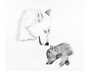 Oeuvre originale Loup arctique (Canis lupus arctos): Arctic Wolf