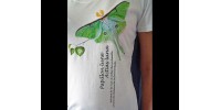 T-shirt femme - Collection papillon