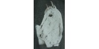 Gilet kangourou homme - Collection cheval